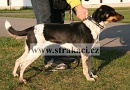 1023 Brunka