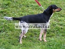 1043 Berti�ka