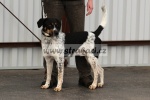 1420 Hit Man