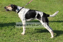 1512 Alkesia C�sa�ovna