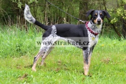 1779 Della