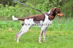 1796 D�rek