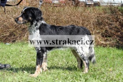 1868 Kr�ska