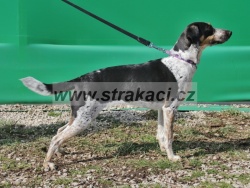 2248 Freya
