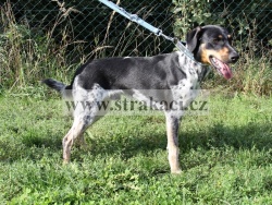 2311 Dargo