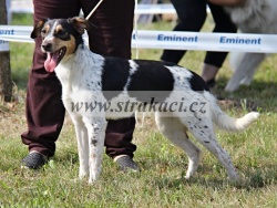 2483 Brusinka