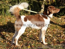 2602 Athos