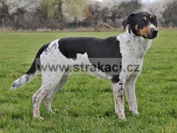 2744 Meruzalka