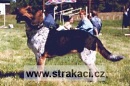 285 Bona
