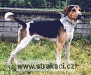 292 Artu�