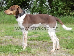 2966 Artur