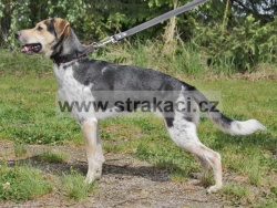 3041 G�e