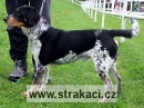 316 Artu�