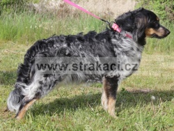 3173 Ag�ta