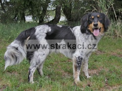 3240 Arno�t