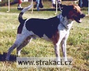 333 Cip�sek
