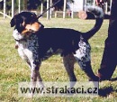 342 Cval�k