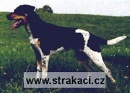 383 Ani�ka