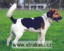 491 Edgar