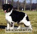 560 Janek