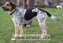 823 Amazonka