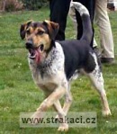 842 Eduard