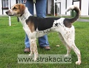 870 Catja